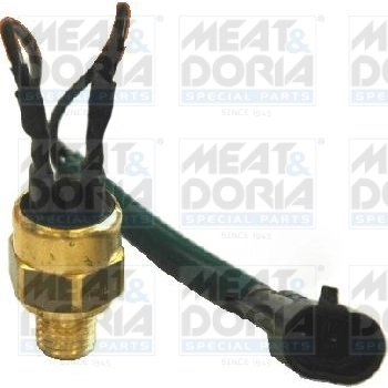 Temperature Switch, coolant warning lamp